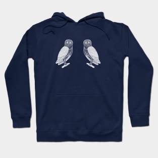 Barn Owls in Love - detailed hand drawn bird design Hoodie